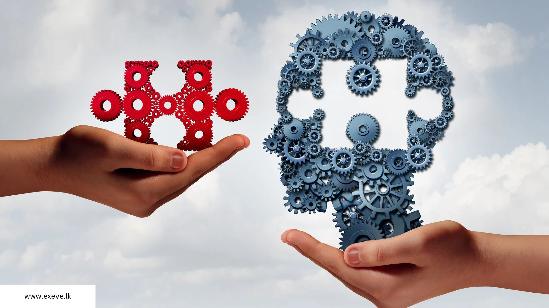 Training and Development for Optimization