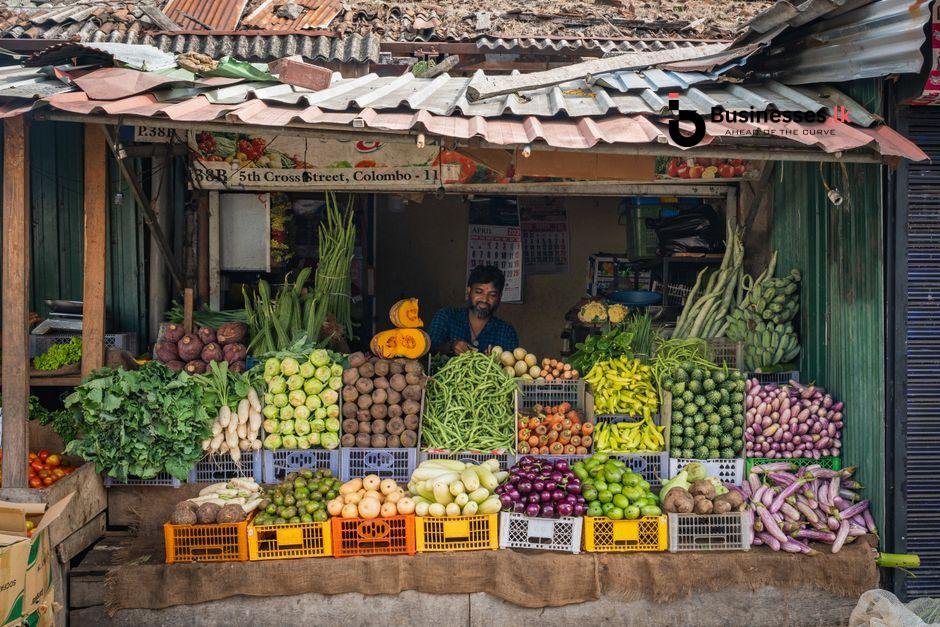 best e-commerce platforms for small businesses in Sri Lanka